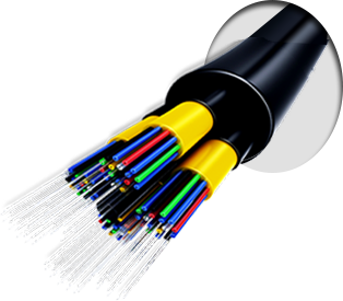 Fiber Network